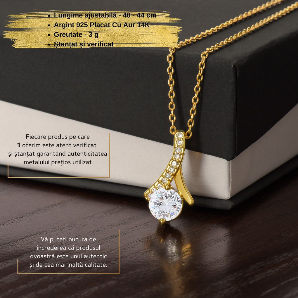 Cadou pentru Iubita Sotie, Colier din Argint925 cu Pandant Placat cu Aur Galben de 14K, Card cu Mesaj "Pentru Sufletul Meu Pereche"