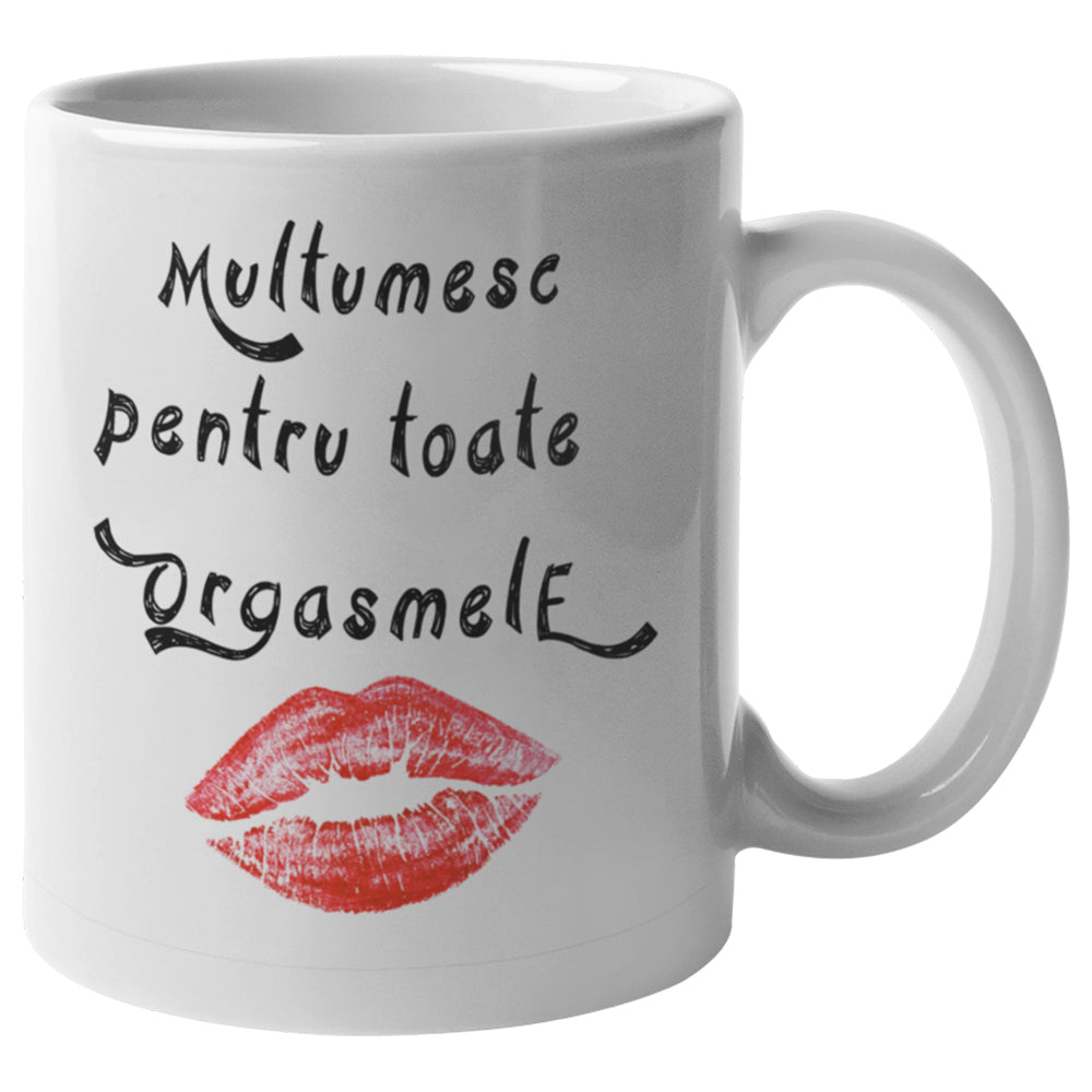 Cana Ceramica, Cadou Pentru Sot, Cadou Pentru Iubit, Cadou Amuzant Pentru El, Cadou Personalizat Pentru Sot, Mesaj Multumesc pentru toate Orgasmele - Alexia Gifts